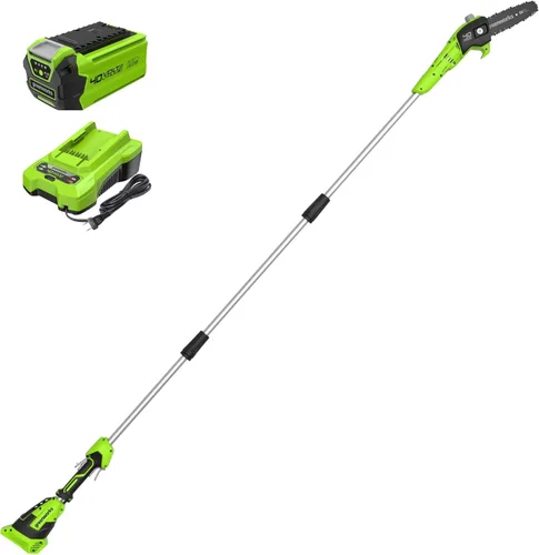 Greenworks Sierra de poste inalámbrica de 40 V y 8 pulgadas, batería de 2.0 Ah y cargador incluidos PS40B210