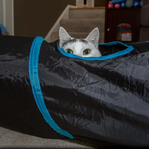 Miniatura 5 de PetLike Túnel para gatos de interior plegable para mascotas, tubo emergente para mascotas, escondite, juguetes de juego para gatos con pelota