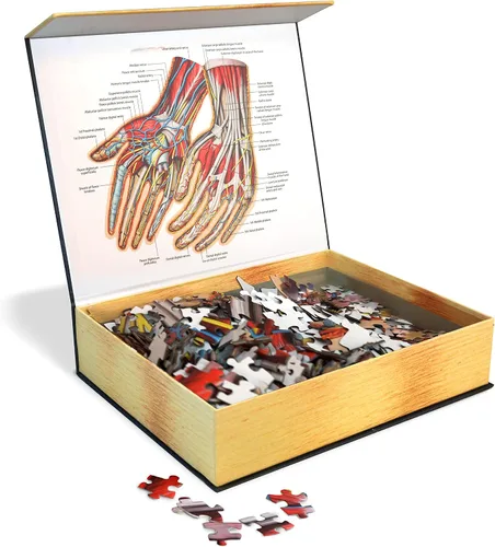 Miniatura 2 de Rompecabezas de anatomía de manos humanas del Dr. Livingston, un rompecabezas de manos médicamente preciso, juguete educativo y atractivo sobre