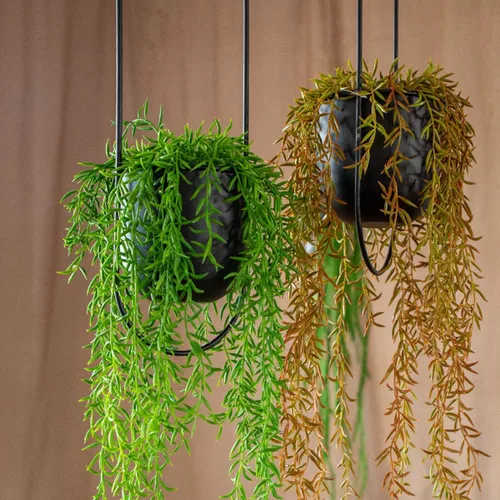 Miniatura 3 de RISEON Colgador bohemio de metal negro para plantas, maceta colgante de pared y techo de metal, maceta moderna, soporte para macetas de mediados