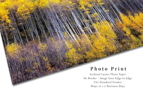 Miniatura 2 de Forest Photography Print (Not Framed) Picture of Aspen Trees Appearing as Reflection on Side of Mountain on Autumn Day at Maroon Bells Colorado