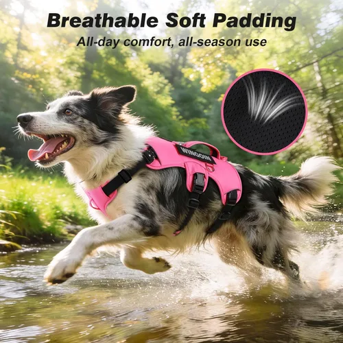 Miniatura 6 de WINGOIN Arnés para perro a prueba de escapes, arnés sin tirones para perros medianos, arnés reflectante ajustable con clip frontal para mascotas