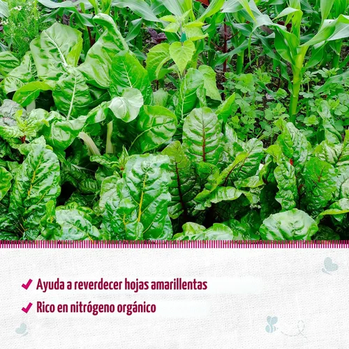 Miniatura 3 de Back to The Roots Harina de sangre 100% orgánica Fabricada en los EE. UU. Nutrición premium para jardinería de plantas de interior y exterior