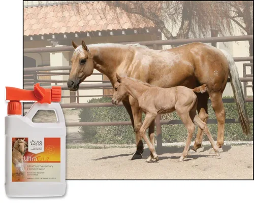 Miniatura 4 de UltraCruz Lavado de linimento veterinario para caballos, 32 onzas con spray de viaje