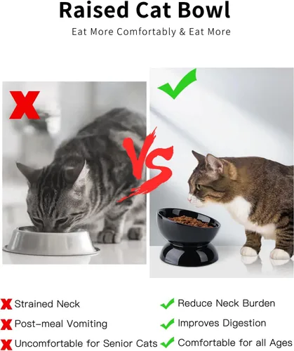 Miniatura 6 de ABRUTY Cuenco de agua para gatos, cuencos elevados de cerámica de 16 onzas, plato de comida para mascotas inclinado y elevado en 15°, antivómito
