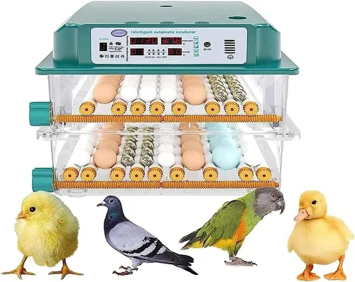 Miniatura 6 de Incubadora automática de pollo para criar huevos 98/120 Incubadora automática de huevos Incubadora de huevos de ganso pájaro Incubadora de 120 Huevos