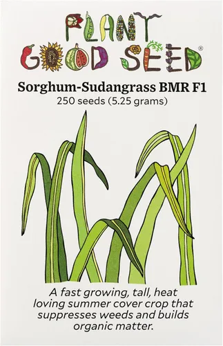 Miniatura 13 de Plant Good Seed Semillas orgánicas de trigo sarraceno, paquete de 125, semillas tradicionales para plantar verduras, granos, brotes, suministros