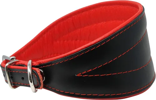 Collar de perro acolchado extra ancho de cuero real, color negro brillante, galgo, saluki, deerhound, lurcher, whippet dachshund (cuello de 11 a 13