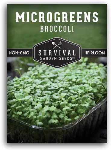 1 paquete de semillas de microgreens de brócoli para plantar y cultivar – Planta plantas de microvegetales de hoja verde en interiores – Cultiva tu