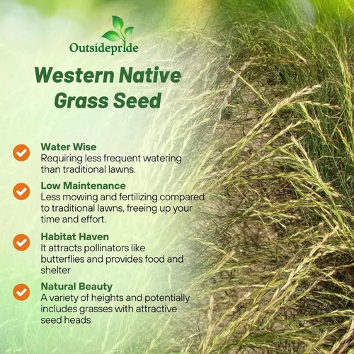 Miniatura 3 de Outsidepride Western Native Grass Seed Mix - Mezcla perenne de temporada cálida y fresca, semillas de césped tolerantes a la sequía para paisajismo