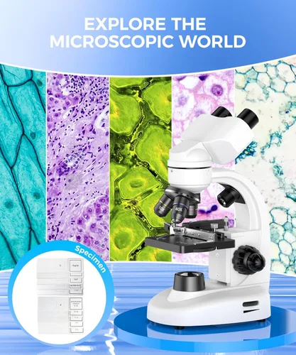 Miniatura 9 de Microscopio binocular compuesto para adultos, profesionales y niños, aumento de 40X-2000X con iluminación LED, platina mecánica, oculares WF2x