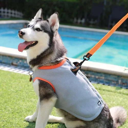 Miniatura 5 de JUXZH Truelove - Chaleco de refrigeración para perro, chaqueta enfriadora con cremallera ajustable para entrenamiento de caza al aire libre