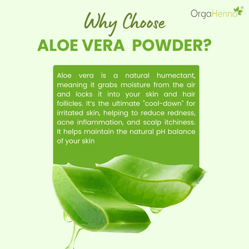 Miniatura 3 de Polvo de aloe vera orgánico 100% puro y natural, Aloe Barbadensis Miller, polvo de hierbas multiusos — 100 g (3.52 oz)