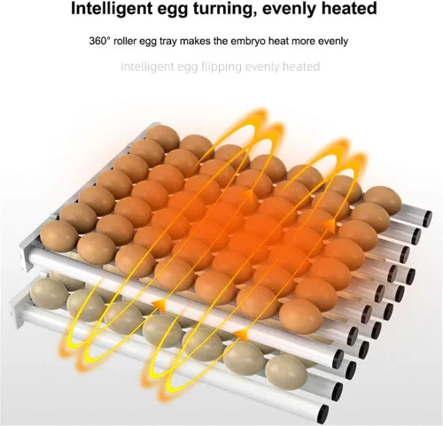 Miniatura 3 de Incubadora de huevos, incubadoras digitales totalmente automáticas, control automático de temperatura de torneado de huevos, pantalla LED