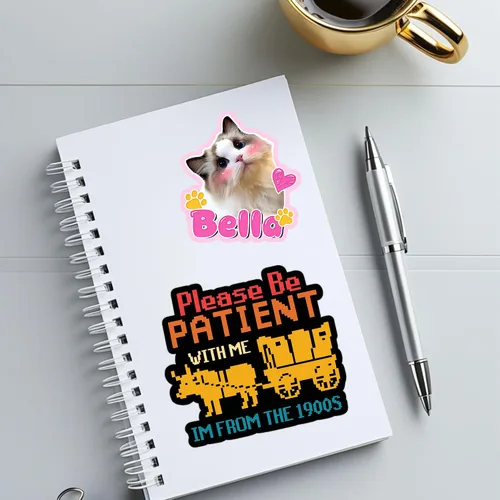Miniatura 4 de 3 calcomanías de vinilo impermeables con texto en inglés «Please Be Patient with Me Im from the 1900s», vintage, retro, millennial Gen X