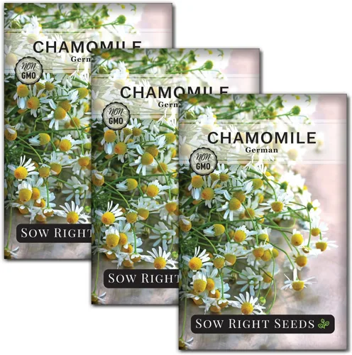Sow Right Seeds - Semillas de manzanilla alemana para plantar - Paquete de reliquia sin OMG con instrucciones para cultivar té de hierbas - Flor