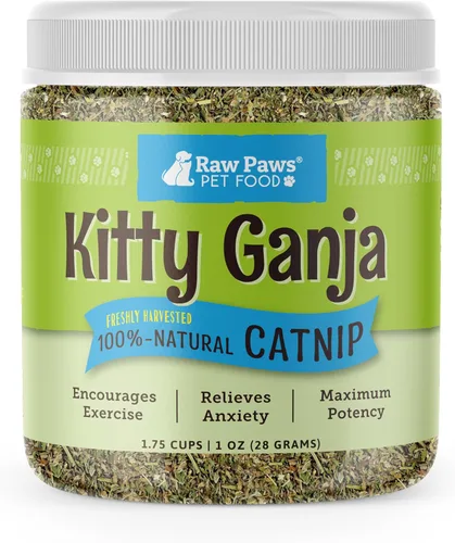 Raw Paws Hierba Gatera Fresca para Gatos, 1-oz (2 Tazas) - Uso para Juguetes de Hierba Gatera Recargables para Gatos - Hierba Gatera Seca Natural