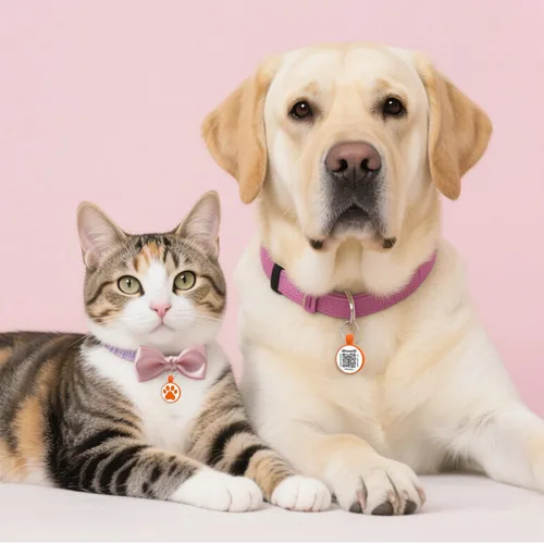 Miniatura 6 de Etiqueta para gatos con código QR, página de visualización de perfil en línea de mascotas modificable, múltiples contactos de emergencia, silicona
