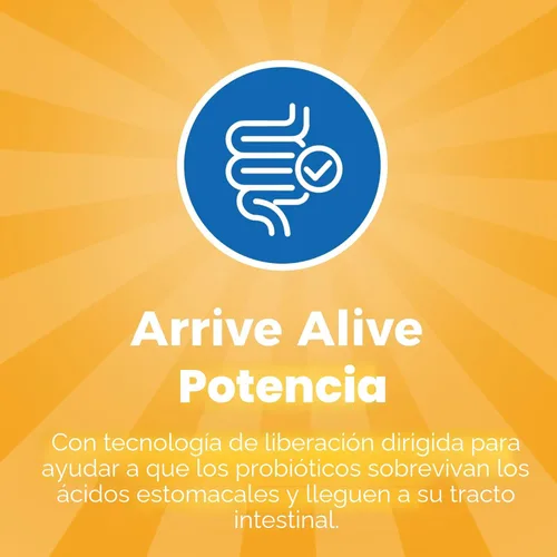 Miniatura 4 de NewRhythm Probióticos 50 mil millones de UFC, 20 cepas, 60 cápsulas vegetales, tecnología de liberación dirigida, resistente al ácido estomacal, sin