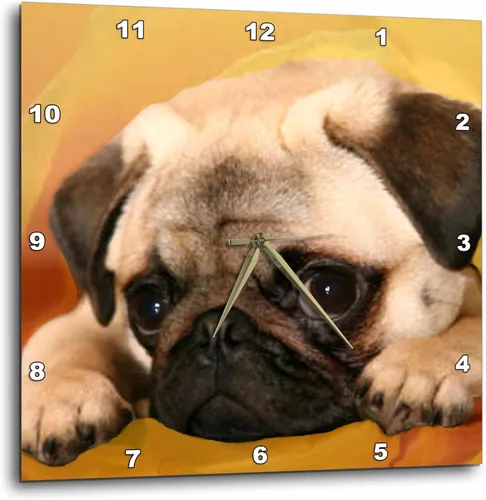 3drose Reloj de pared Pug, 10 x 10 pulgadas