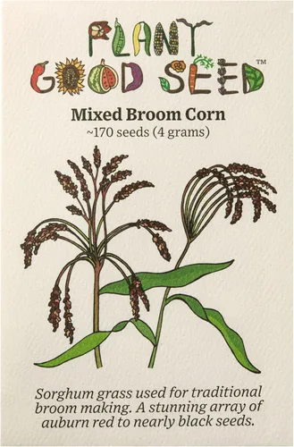 Miniatura 12 de Plant Good Seed Semillas orgánicas de trigo sarraceno, paquete de 125, semillas tradicionales para plantar verduras, granos, brotes, suministros