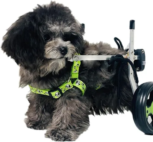 Miniatura 6 de 2 Wheels Folding Dog Wheelchairs, Pet Hind Leg Wheelchair, Adjustable Dog Wheelchair for Back LegsBlack,XS