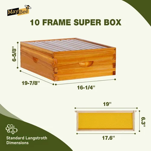 Miniatura 6 de MayBee Colmena Langstroth de 10 marcos sumergida en cera de abejas 100%, kit de iniciación completo de colmenas y suministros para abejas incluye 2