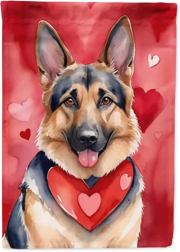 Miniatura 151 de Caroline's Treasures DAC5292CHF - Bandera de Border Collie My Valentine House para porche, grande, con manga para porche, para colgar en la pared