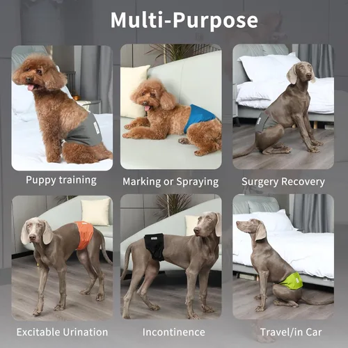 Miniatura 3 de JoyDaog - Pañales reutilizables para cachorros varones, paquete de 5, lavables, bandas reutilizables para el vientre, para perros