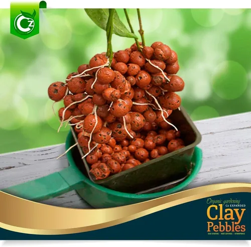 Miniatura 4 de Cz Garden – Medio de cultivo de piedras de arcilla expandida orgánica - orquídeas • hidroponía • acuapónica • acuicultura