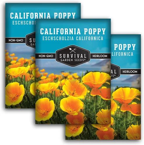 Miniatura 12 de Survival Garden Seeds - Semillas de amapola de California para plantar - 5 paquetes con instrucciones para cultivar plantas Eschscholzia Californica