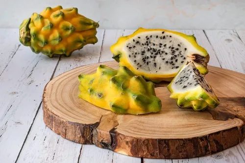 Miniatura 6 de Corte amarillo de la fruta del dragón 8 Inc a 10 Inc longitud para plantar 1 corte