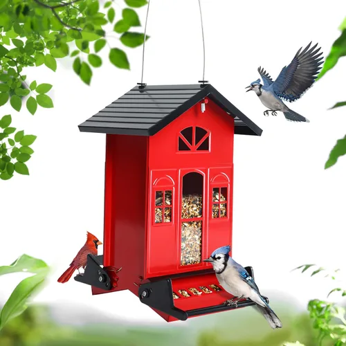 Birdkiss Comedero para pájaros a prueba de ardillas, comederos de metal para colgar al aire libre con perchas bilaterales activadas por peso, gran