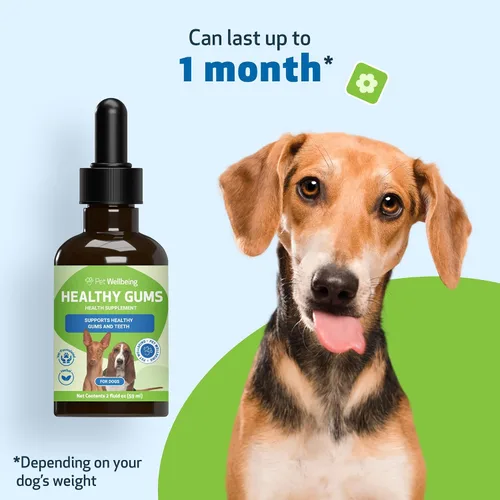 Miniatura 9 de Pet Wellbeing - Encías saludables para perros - Suplemento natural para encías, dientes y aliento saludables contra la gingivitis del perro - 2oz