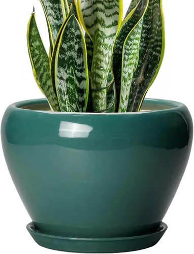 Miniatura 82 de Maceta de Cerámica Moderna con Esmalte para Suculentas con Agujero de Drenaje y Platillo, Maceta Redonda de 6 Pulgadas para Plantas de Flores