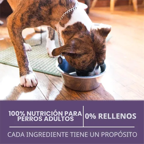 Miniatura 8 de Purina ONE Alimento seco para perros adultos de raza grande, alto contenido en proteína, fórmula Plus Vibrant Maturity Adult 7 Plus - Bolsa de 8