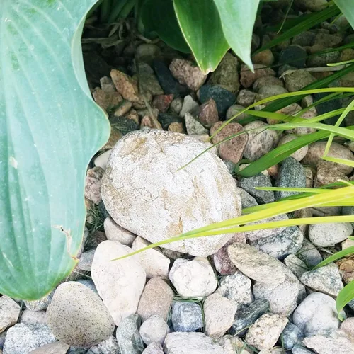 Miniatura 6 de Roca Falsa Ocultador de Llaves Decoración Caja de Seguridad para Jardín o Patio al Aire Libre Tamaño Grande Diseño Ocultar una Llave de Repuesto