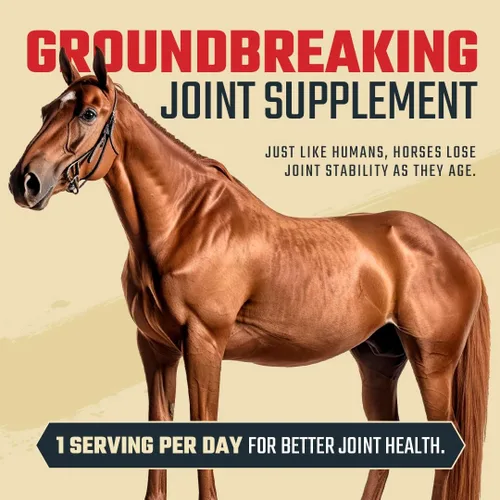 Miniatura 3 de Daybreak Nutrition Suplemento para articulaciones equinas 8 en 1 de máxima fuerza – Suplemento para articulaciones para caballos – Glucosamina, MSM