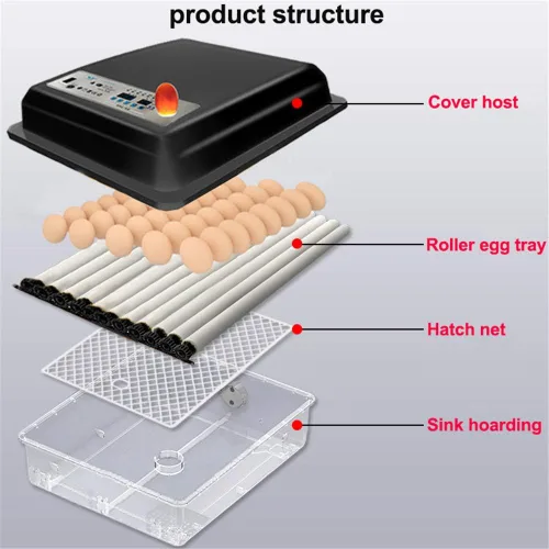 Miniatura 5 de Mini incubadora de huevos, máquina digital totalmente automática para criar aves de corral, pantalla LED, control de temperatura y girador