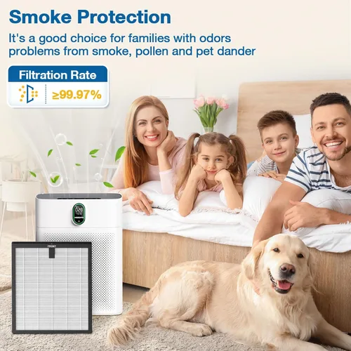 Miniatura 8 de Paquete de 2 filtros de repuesto HY4866 para purificador de aire MORENTO/WESTHEY HY4866 y purificador de aire YIOU M1, filtro H13 True HEPA 3 en 1