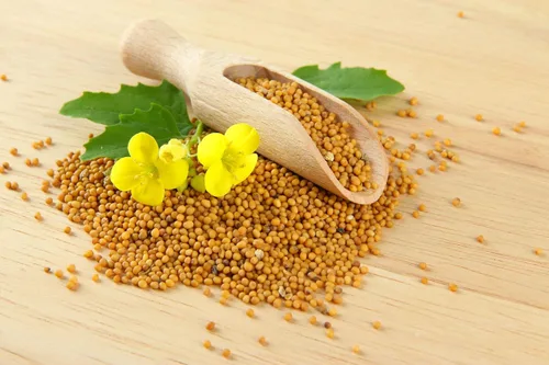 Miniatura 2 de Semillas de mostaza amarilla vegetal sin OMG para plantar 500 semillas