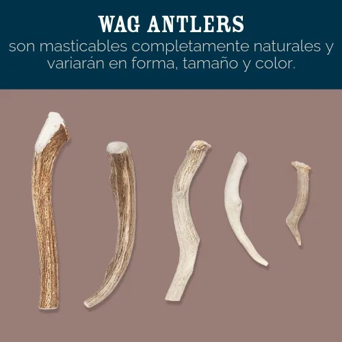 Miniatura 2 de Marca Amazon – Cuerno de alce dividido Wag con desprendimiento natural, de larga duración para masticadores agresivos, mediano