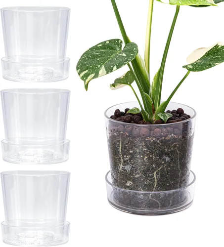 Miniatura 18 de Phoenix Vine Maceta de acrílico transparente de 3.5 pulgadas con bandeja, maceta de orquídeas con agujeros de drenaje, platillo profundo para riego