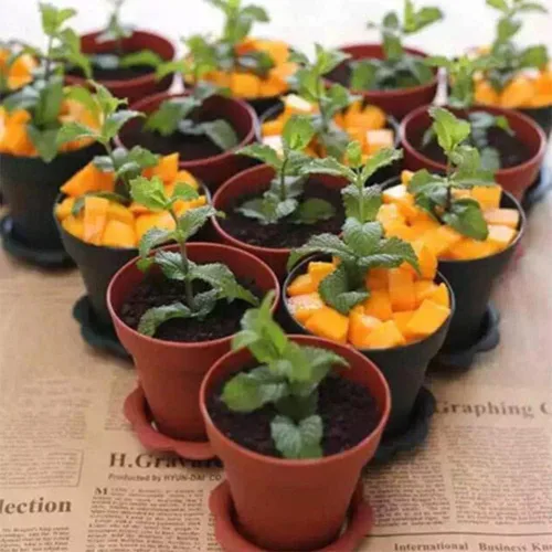 Miniatura 8 de Paquete de 50 vasos de postre en maceta de 6.1 fl oz de plástico de 6 onzas con tapa y cuchara, taza de degustación de aperitivos, adecuada