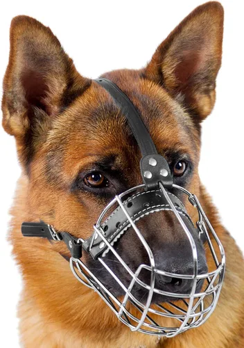 Bozales de metal cromado para perros, correas de cuero ajustables (№5+), la circunferencia es de 12.2-13 pulgadas, la longitud es de 4.7-5.1 pulgadas