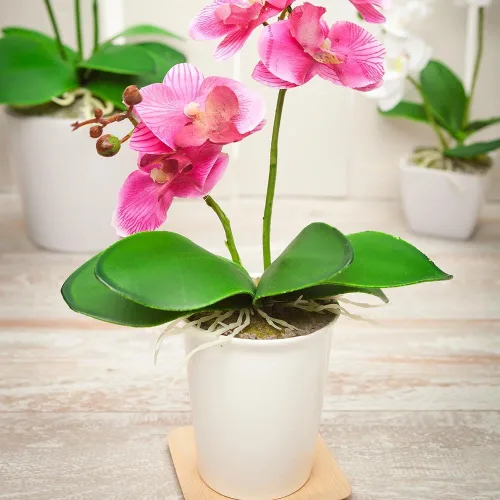 Miniatura 5 de Restaurantware Faux Fiore Violet Allium - Maceta blanca - Plantas de imitación - 14.6" - Caja de 1 unidad