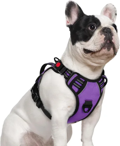 Miniatura 18 de rabbitgoo Arnés para perro de tamaño pequeño, arnés para mascotas sin tirones con mango acolchado suave, chaleco reflectante ajustable con 3