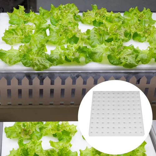 Miniatura 7 de 200 esponjas hidropónicas, herramienta de jardinería, cultivo sin suelo, esponjas de siembra, esponja de cultivo, invernadero para crecimiento
