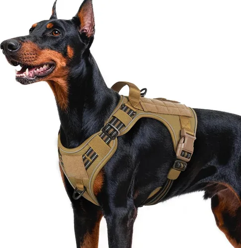 Miniatura 41 de rabbitgoo - Arnés para perros pequeño sin tirones, chaleco táctico de servicio con Molle y asa de control, arnés militar ajustable y reflectante