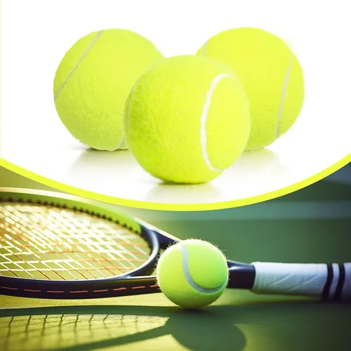 Miniatura 6 de 30/40 Pack Training Tennis Balls, Pet Dog Playing Balls, Practice Tennis Balls with Mesh Bag for Transport and Beginner Training